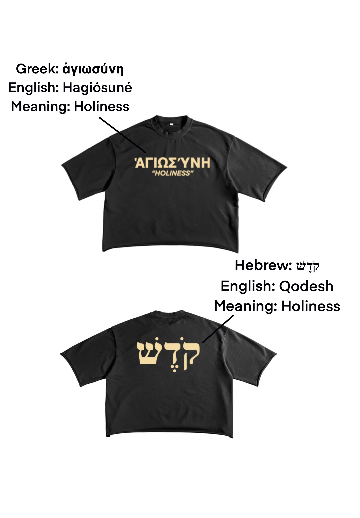 "HOLINESS" CROPPED TEE - BLACK