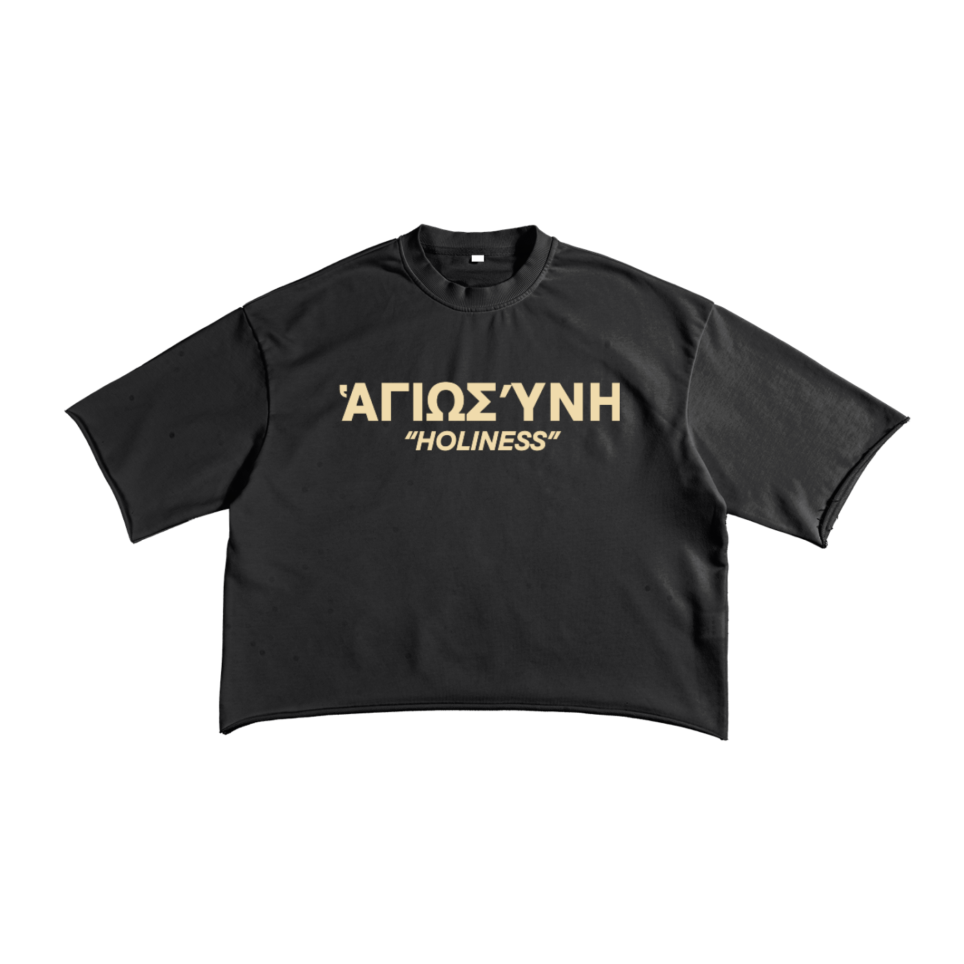 "HOLINESS" RAW EDGE CROPPED TEE - BLACK